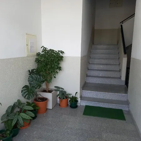 Passadicos Do Paiva Apart アパート